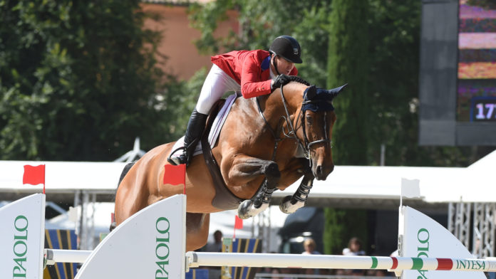 horse